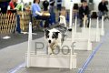 IMG_8244