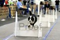 IMG_8245