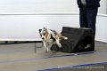 IMG_8271