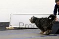 IMG_8275