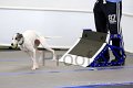 IMG_8304