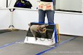 IMG_8345