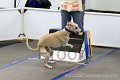 IMG_8347