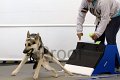IMG_8363
