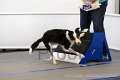 IMG_8368