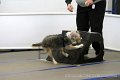 IMG_8410