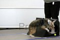 IMG_8418