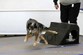 IMG_8435