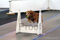 IMG_8460