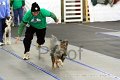 IMG_8540