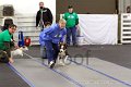 IMG_8541