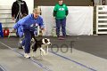 IMG_8545