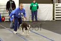 IMG_8546