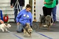 IMG_8548