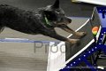 IMG_8602