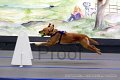 IMG_8616