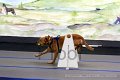 IMG_8617
