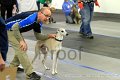 IMG_8629