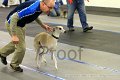 IMG_8630