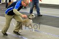 IMG_8631