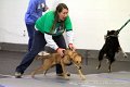 IMG_8632