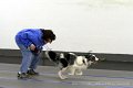 IMG_8633