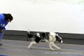 IMG_8634