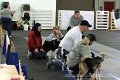 IMG_8641
