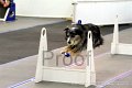 IMG_8647