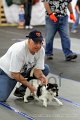IMG_8660