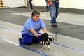 IMG_8704