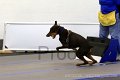 IMG_8724