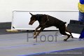 IMG_8725