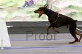 IMG_8726