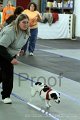 IMG_8795