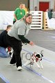 IMG_8806