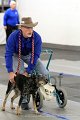 IMG_8818