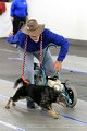IMG_8820