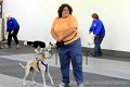 IMG_8828