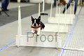 IMG_8939