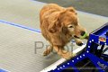 IMG_9031