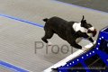 IMG_9040
