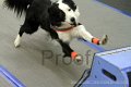 IMG_9053