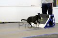IMG_9121