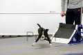 IMG_9122