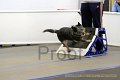 IMG_9126