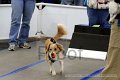 IMG_9135