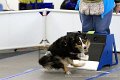IMG_9137
