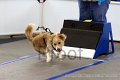 IMG_9141