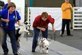 IMG_9167